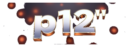 p 12 logo